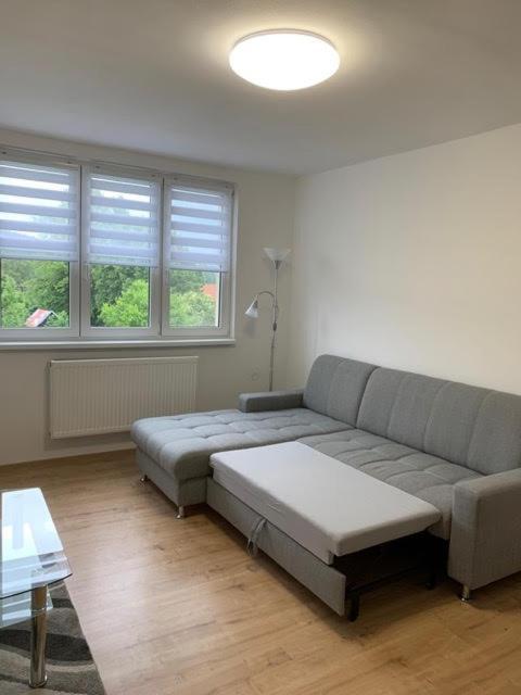 30 Apartment Frymburk